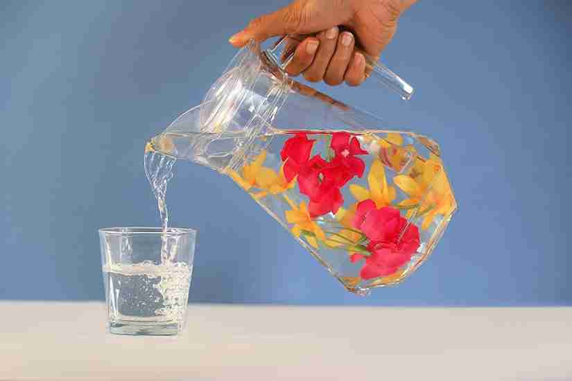 Aakriti 1.3 L Water Duck 1.3L JIGSHTIAL Glass Pitcher with Plastic ...