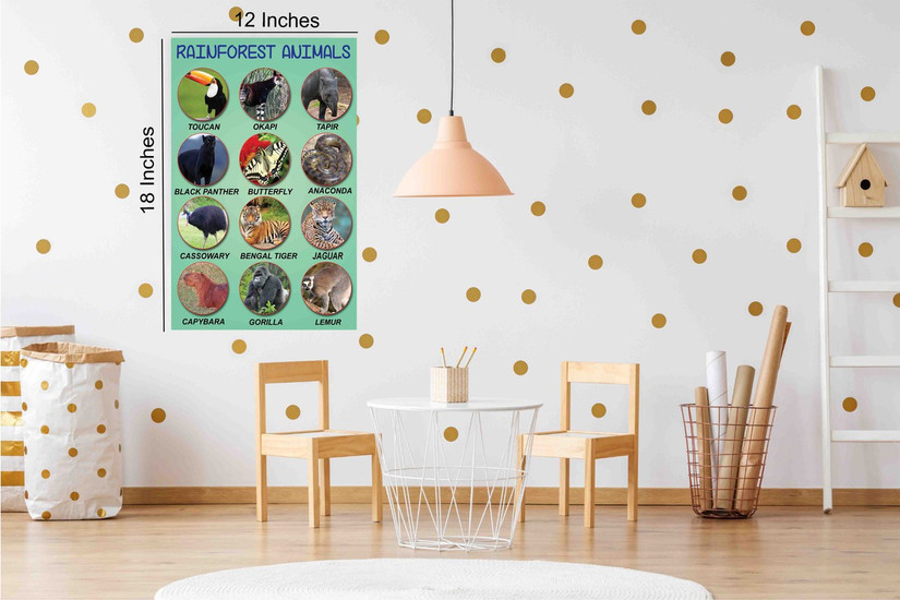 Animals Name Sticker Poster|Educational Sticker Poster|1Pc|Wall Sticker Poster for Schools, Study Room, Kindergarten|Sticker Poster for Decoration Paper Print - Educational, Decorative posters in India - Buy art, film, design, movie, music, nature Animals Name Sticker Poster|Educational Sticker Poster|1Pc|Wall Sticker Poster for Schools, Study Room, Kindergarten|Sticker Poster for Decoration Paper Print - Educational, Decorative posters in India - Buy art, film, design, movie, music, nature