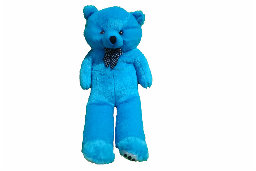 RIDDHI TOYS Soft Plush Fabric Teddy 