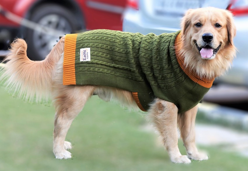 pawz sweater