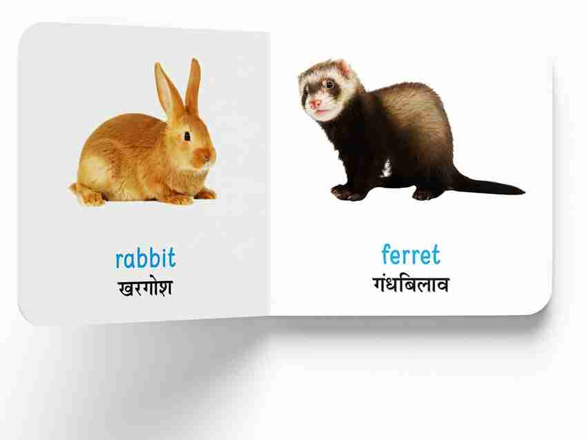 My First Book of Farm Animals & Pets - Paltu Janwar (English - Hindi) - By Miss & Chief: Buy My First Book of Farm Animals & Pets - Paltu Janwar (English - My First Book of Farm Animals & Pets - Paltu Janwar (English - Hindi) - By Miss & Chief: Buy My First Book of Farm Animals & Pets - Paltu Janwar (English -