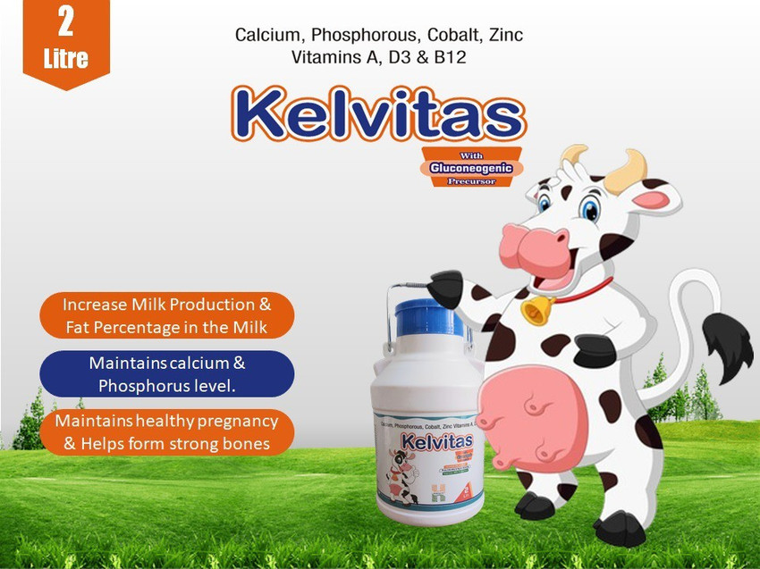 Kelvitas - Chelated Liquid Calcium for Cattle, Cow, Buffalo, Goat & Sheep (With Gluconeogenic Precursor) Pet Health Supplements Price in India - Buy Kelvitas - Chelated Liquid Calcium for Cattle, Cow, Buffalo, Kelvitas - Chelated Liquid Calcium for Cattle, Cow, Buffalo, Goat & Sheep (With Gluconeogenic Precursor) Pet Health Supplements Price in India - Buy Kelvitas - Chelated Liquid Calcium for Cattle, Cow, Buffalo,