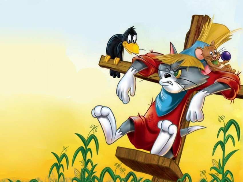 Tom & Jerry Multicolour Photo Paper Print Poster Photographic Paper  Photographic Paper - Animation & Cartoons posters in India - Buy art, film,  design, movie, music, nature and educational paintings/wallpapers at  