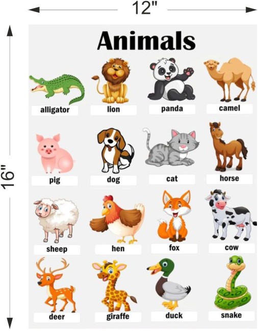 Animal Names Chart Kids learning | Poster for Kids Learning, Kindergarten |  Paper Print Paper Print - Animals posters in India - Buy art, film, design,  movie, music, nature and educational paintings/wallpapers
