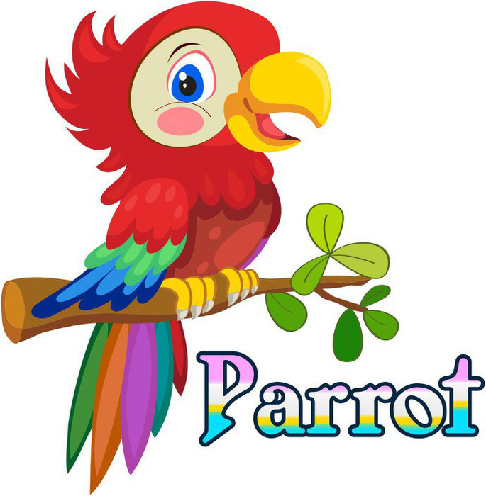 newlovelifecreations 58 cm Cute colorful parrot cartoon wall sticker Self Adhesive Sticker Price in India - Buy newlovelifecreations 58 cm Cute colorful parrot cartoon wall sticker Self Adhesive Sticker online at newlovelifecreations 58 cm Cute colorful parrot cartoon wall sticker Self Adhesive Sticker Price in India - Buy newlovelifecreations 58 cm Cute colorful parrot cartoon wall sticker Self Adhesive Sticker online at