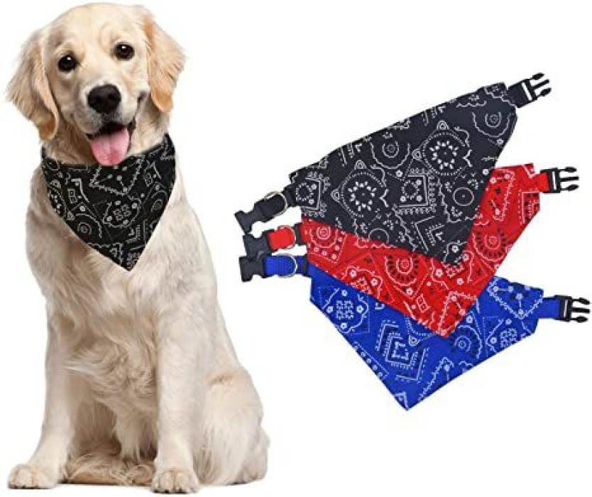 bandana dog leash