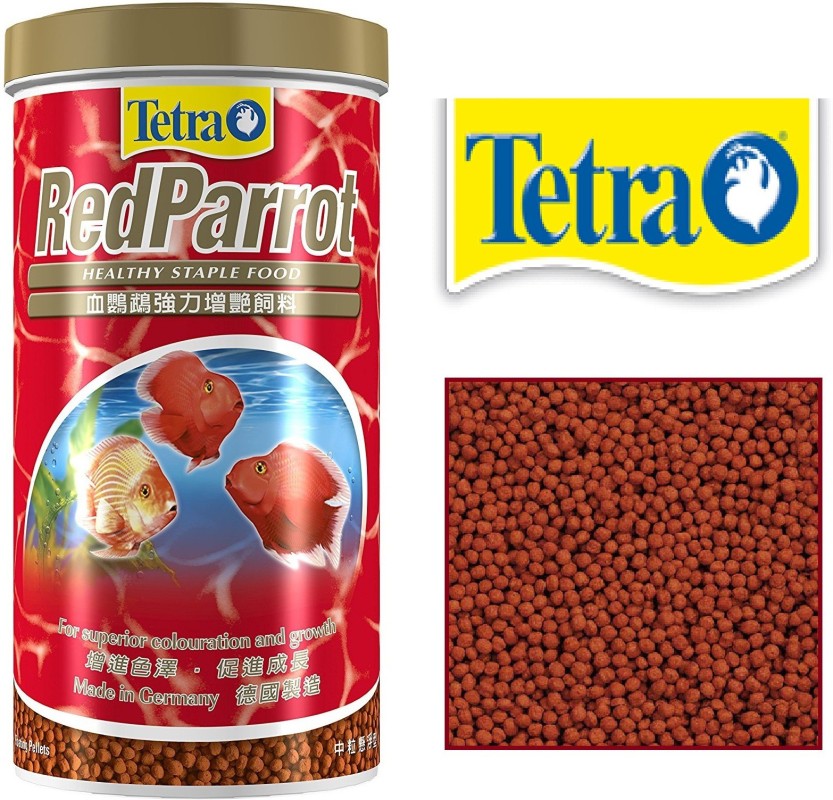 tetra parrot fish food