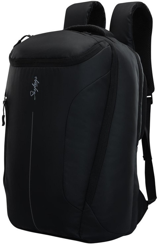 SKYBAGS Intern (Large) 25 L Laptop 