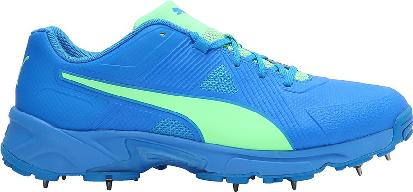 puma evospeed 19.1 cricket shoes