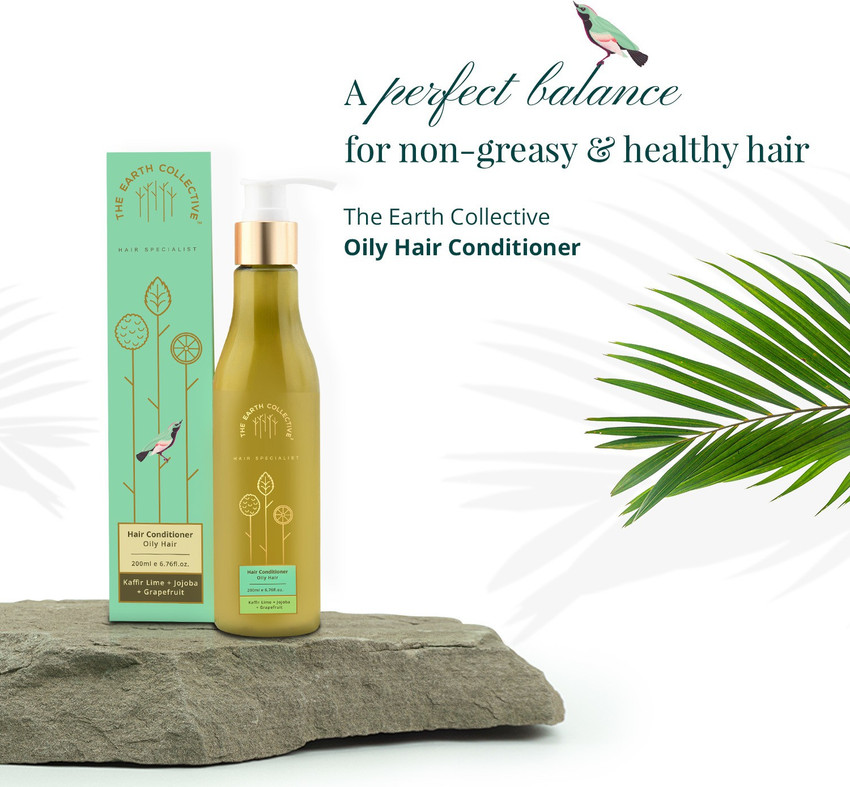 Top 79+ conditioner for oily hair latest in.eteachers