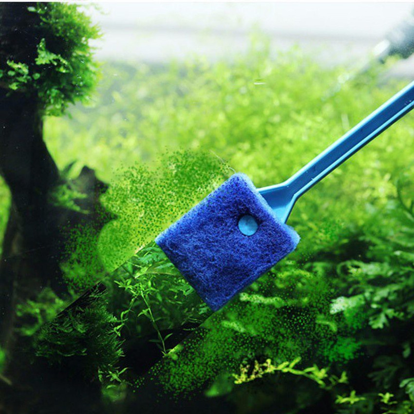 Discount Shopping Sponge Scrubber Cleaner for Glass Aquariums and Home