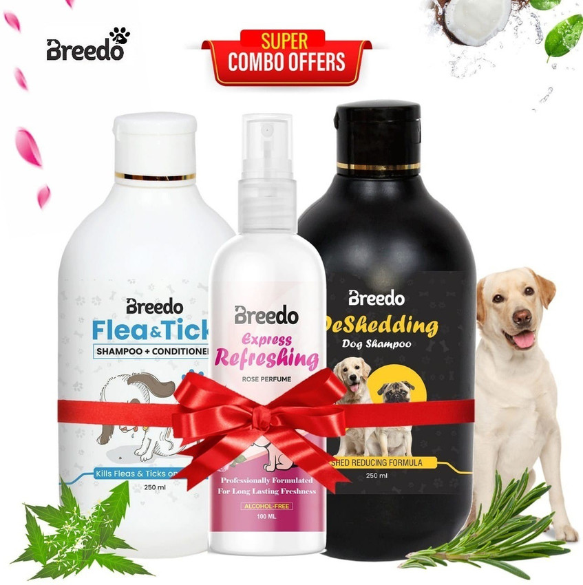 Are Dogs Allergic To Perfume