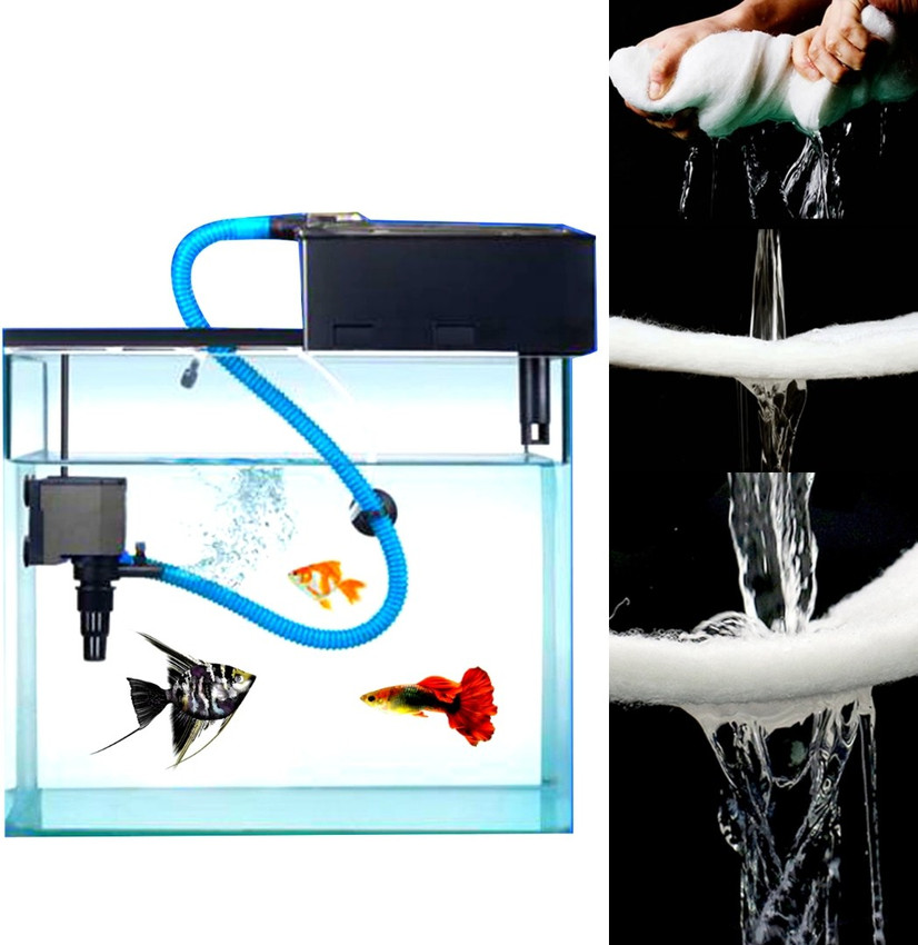 filter top aquarium