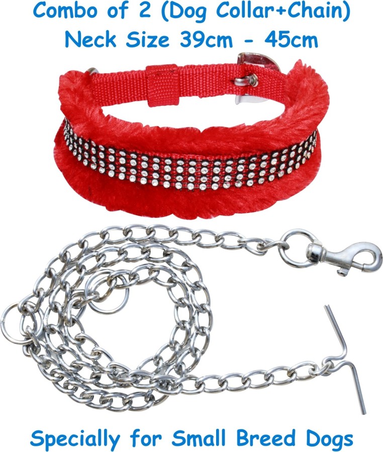 small dog belt and chain