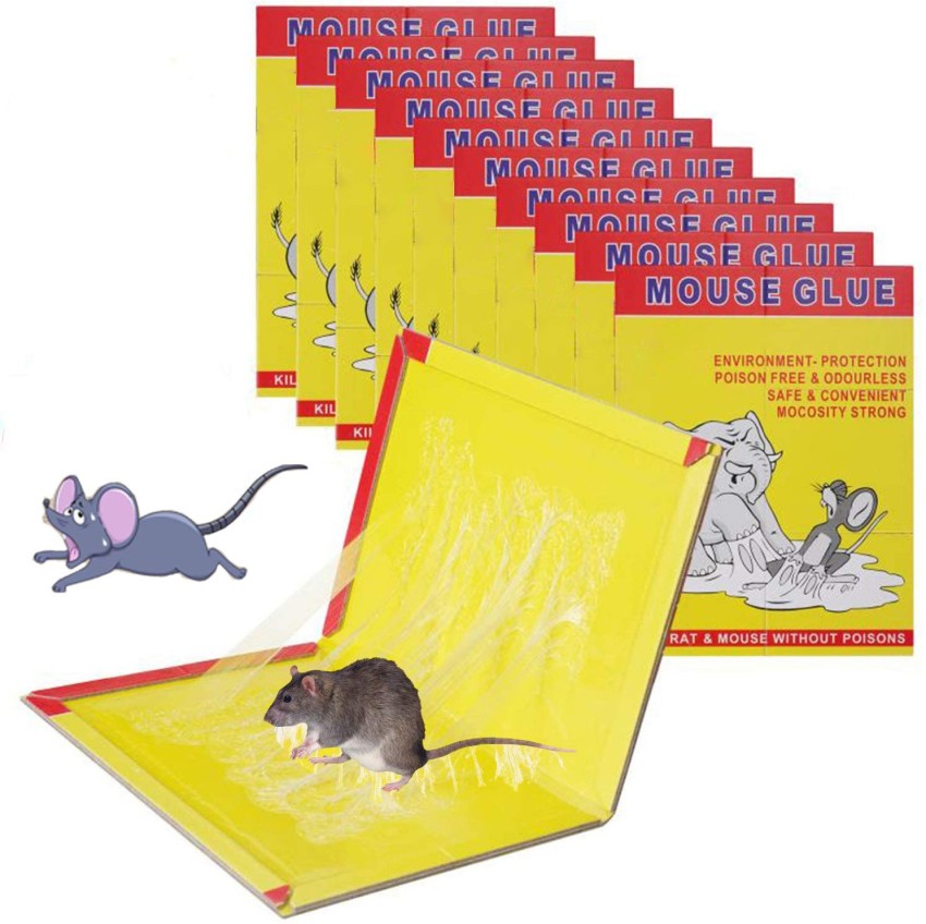 big rat glue trap