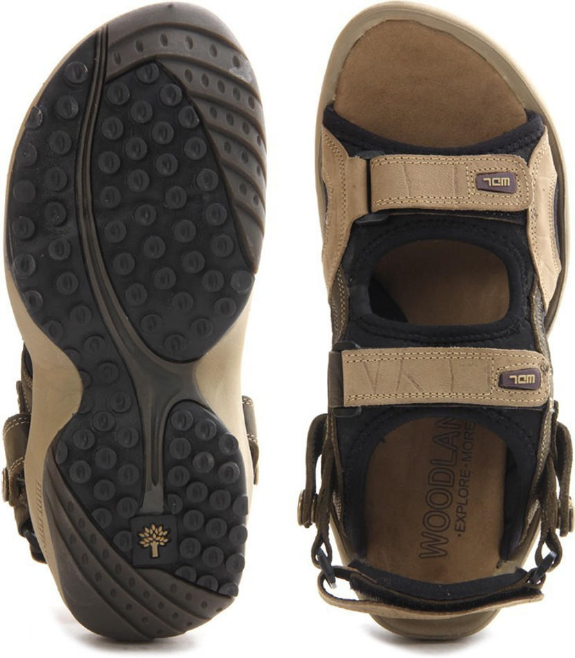 WOODLAND Men Multicolor Sports Sandals 