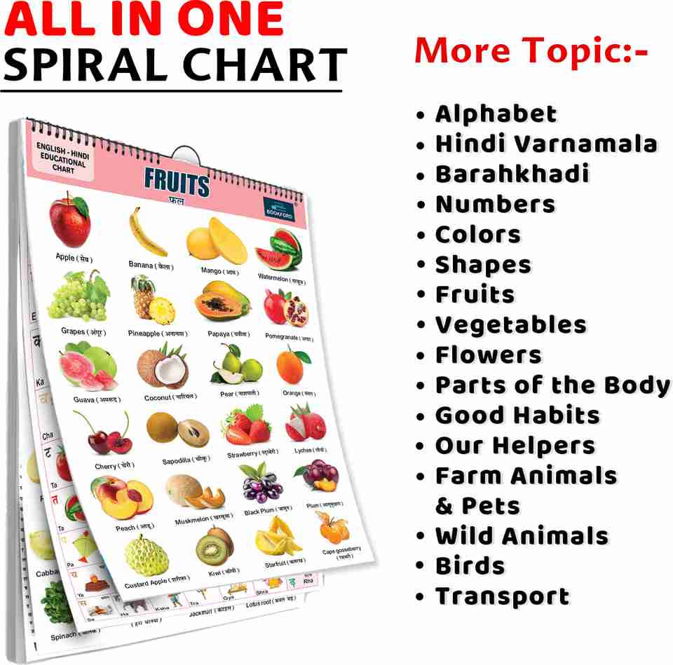 16 in 1 Fruit Names Chart for Kids Spiral Educational Wall Picture ...